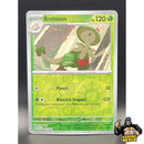 Pokémon Temporal Forces Reverse Holos (Choose Your Card) - Pokemon Trading Card Game