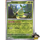 Pokémon Temporal Forces Reverse Holos (Choose Your Card) - Pokemon Trading Card Game