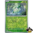 Pokémon White Flare Reverse Holos (Choose Your Card) - Pokemon Trading Card Game