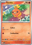 040 Torchic