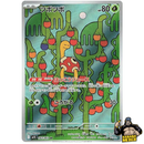 Pokemon AR Art Rare Group 4 - Mega Brave to Mega Dreams ex - Japanese Single Cards - Second Hand Pokemon Trading Card Game