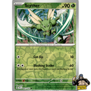 Pokémon Temporal Forces Reverse Holos (Choose Your Card) - Pokemon Trading Card Game